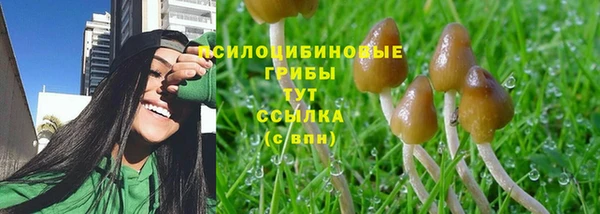 метадон Новодвинск
